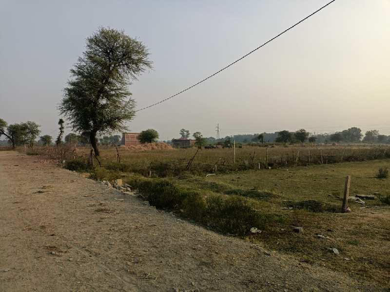 2500 Sq.ft. Residential Plot for Sale in Dhawari, Satna