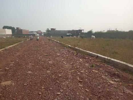 2500 Sq.ft. Residential Plot for Sale in Amaudha, Satna