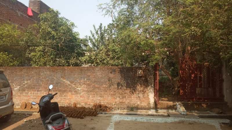 2400 Sq.ft. Residential Plot for Sale in Tikuriya Tola, Satna