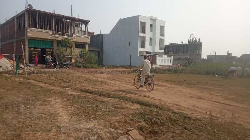 3190 Sq.ft. Residential Plot for Sale in Kothi, Satna