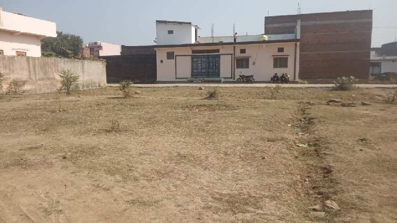 1260 Sq.ft. Residential Plot for Sale in Bagha, Satna
