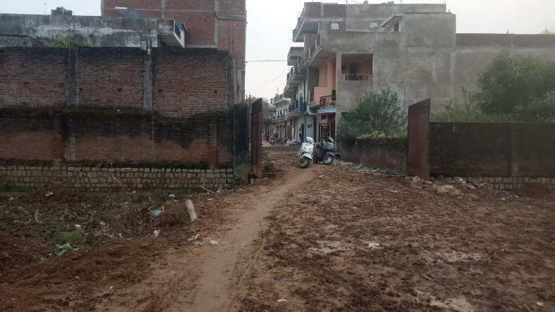 1250 Sq.ft. Residential Plot for Sale in Madhya Pradesh