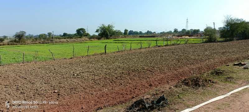 3 Acre Agricultural/Farm Land for Sale in SherGanj, Satna