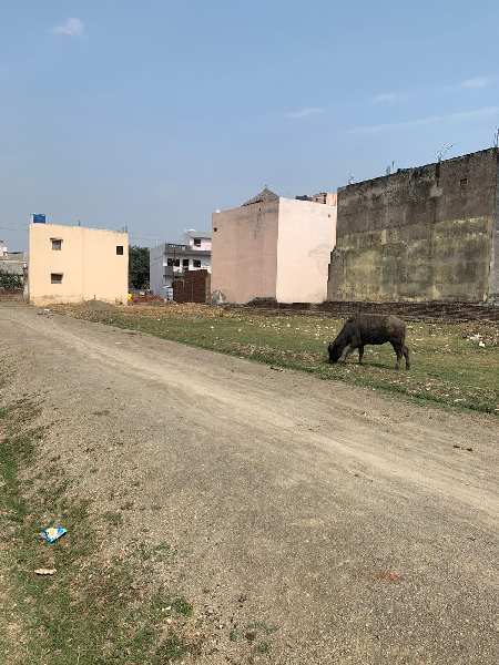 3600 Sq.ft. Residential Plot for Sale in Rajnagar, Chhatarpur