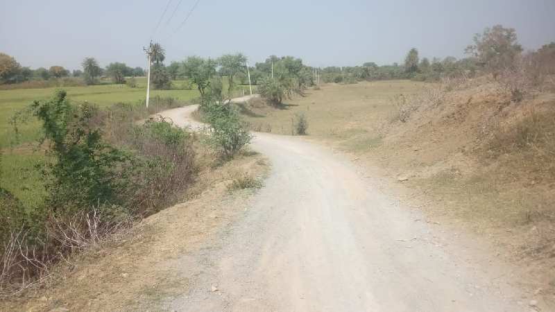 4 Acre Agricultural/Farm Land for Sale in Unchehara, Satna