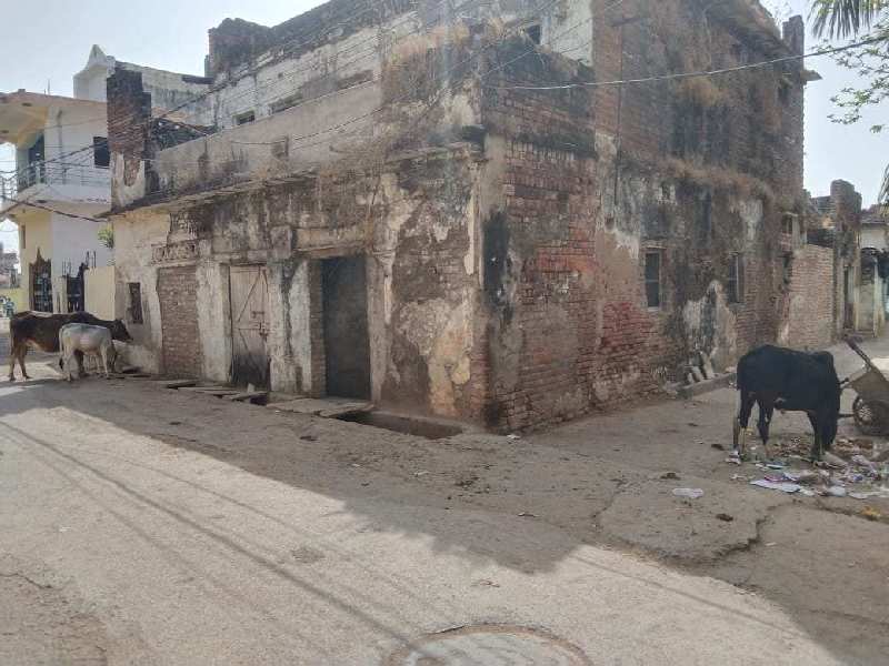 1800 Sq.ft. Residential Plot for Sale in Dhawari, Satna