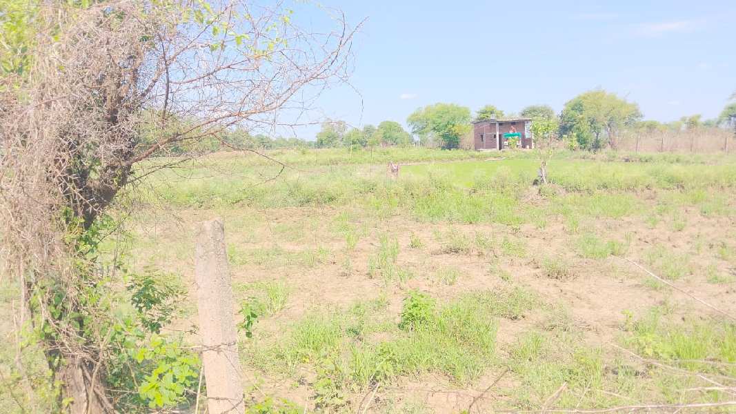 14 Acre Agricultural/Farm Land for Sale in Kothi, Satna