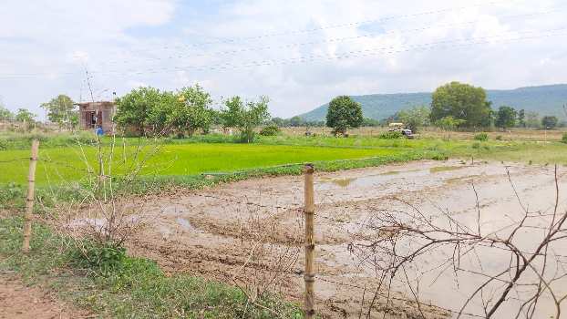 2 Acre Agricultural/Farm Land for Sale in Raghuraj Nagar, Satna