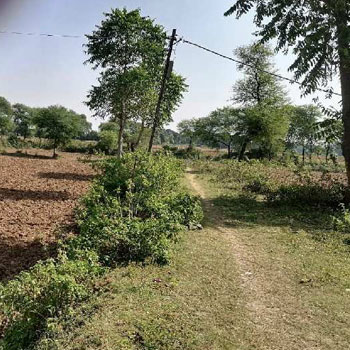 1 Acre Agricultural/Farm Land for Sale in Dhawari, Satna