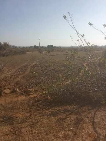 7 Acre Agricultural/Farm Land for Sale in Jaitwara, Satna