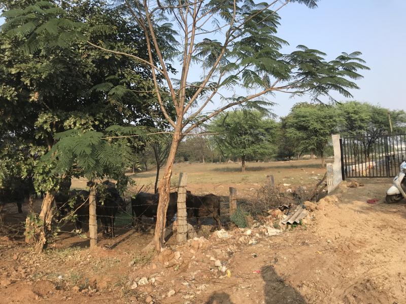 6 Acre Commercial Lands /Inst. Land for Sale in Telangana