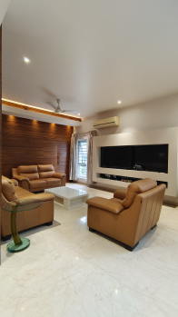 5 BHK Individual Houses / Villas for Sale in Jubilee Hills, Hyderabad (6400 Sq.ft.)