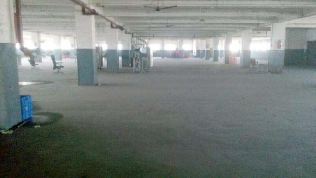 Ideal Garment or Light industry, 1st Floor