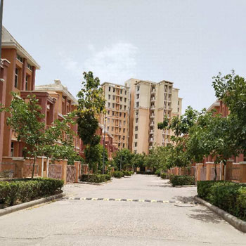 2 BHK Flats & Apartments for Rent in Japanese Zone, Alwar (956 Sq.ft.)