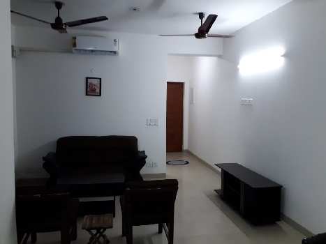 2 BHK Flats & Apartments for Rent in Japanese Zone, Alwar (956 Sq.ft.)