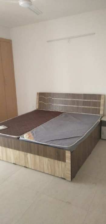 2 BHK Flats & Apartments for Rent in Japanese Zone, Alwar (956 Sq.ft.)