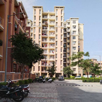 3 BHK Flats & Apartments for Sale in Japanese Zone, Alwar (1365 Sq.ft.)