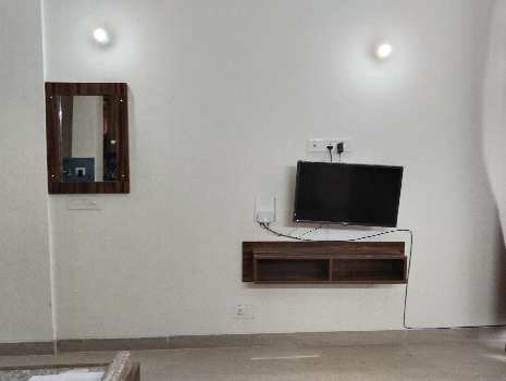 1 RK Flats & Apartments for Rent in Japanese Zone, Alwar (568 Sq.ft.)