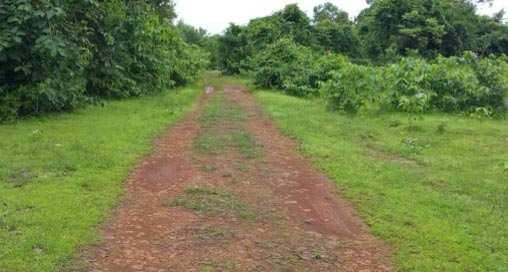 200 Acres of Land Near Mangaon Indapur OPEN LAND