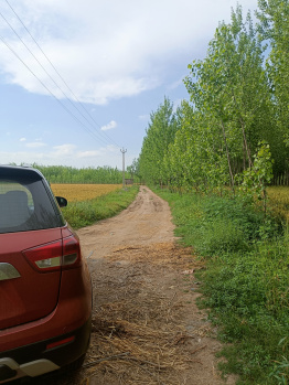 Property for sale in Ropar, Rupnagar