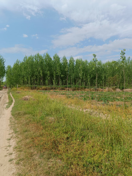 Property for sale in Ropar, Rupnagar