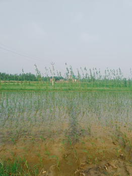 Property for sale in Mahilpur, Hoshiarpur