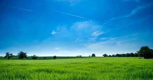 3 Acre Agricultural/Farm Land for Sale in NH 1, Sonipat