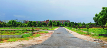 45 Acre Agricultural/Farm Land for Sale in Kharora, Raipur