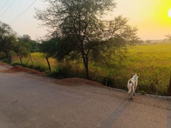 Property for sale in Vidhan Sabha Road, Raipur