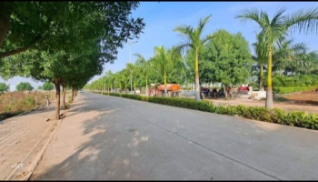 Residential Plot for Sale in Old Dhamtari Road, Raipur (1800 Sq.ft.)