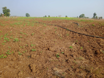36000 Sq.ft. Commercial Lands /Inst. Land for Sale in New Dhamtari Road, Raipur