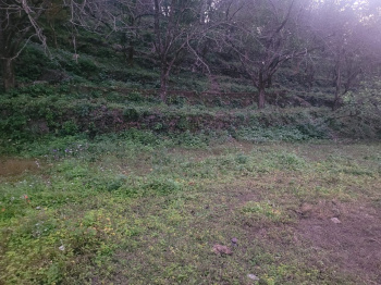 1260 Sq.ft. Commercial Lands /Inst. Land for Sale in Dumartara, Raipur