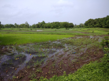 17000 Sq.ft. Commercial Lands /Inst. Land for Sale in Old Dhamtari Road, Raipur