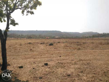 6600 Sq.ft. Commercial Lands /Inst. Land for Sale in Old Dhamtari Road, Raipur