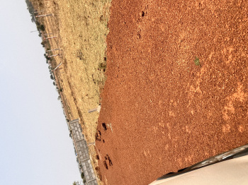 Residential plot with bank finance