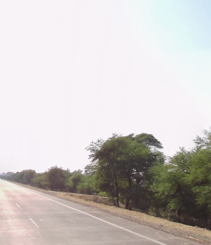 Property for sale in New Dhamtari Road, Raipur