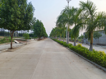 Residential Plot for Sale in Sejbahar, Raipur (1400 Sq.ft.)
