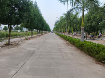 Residential Plot for Sale in Sejbahar, Raipur (1800 Sq.ft.)