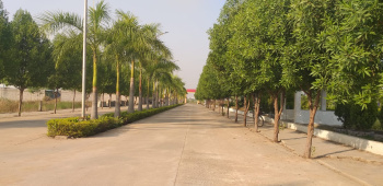 3000 Sq.ft. Residential Plot for Sale in Sejbahar, Raipur