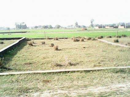 Plot for Sale in Aashiana Colony Kanpur Road Lucknow