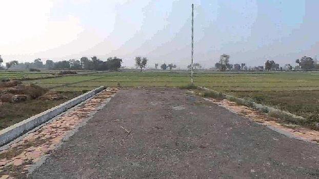 Residential Plot for Sale in Ashiyana, Lucknow (6300 Sq.ft.)