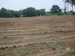 Residential Plot For Sale In Ashiyana, Lucknow