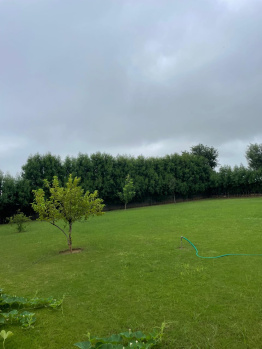 Farm House for Sale in Sohna, Gurgaon (400 Sq. Yards)