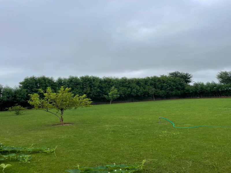Farm House For Sale In Sohna, Gurgaon (400 Sq. Yards)