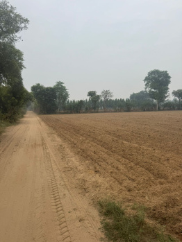 Agricultural/Farm Land for Sale in Sohna Road, Gurgaon (5 Acre)