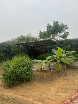 Agricultural/Farm Land for Sale in Sohna, Gurgaon (5 Acre)