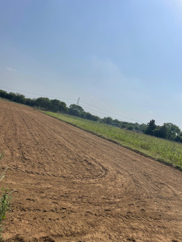 Agricultural/Farm Land for Sale in Sohna, Gurgaon (8 Acre)