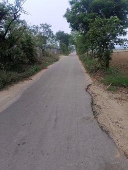 Agricultural/Farm Land for Sale in Sohna, Gurgaon (1 Acre)