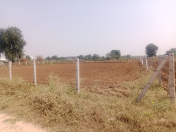 Agricultural/Farm Land for Sale in Naugaon, Alwar (10 Bigha)