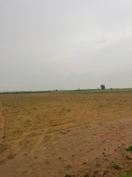 Agricultural/Farm Land for Sale in Ferozepur Jhirka, Nuh (35 Bigha)